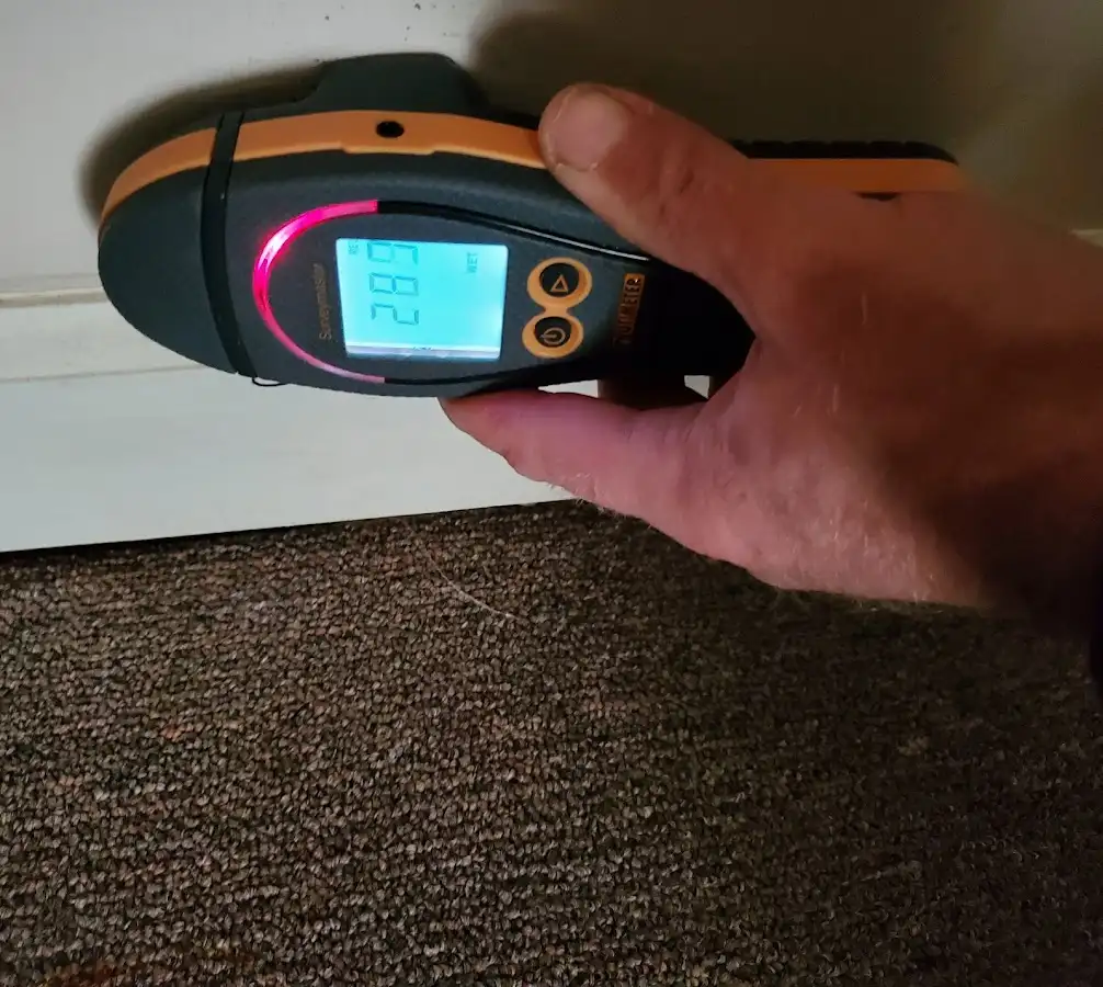 Moisture detection at baseboard during Sewage Cleanup & Sanitation in Pullman